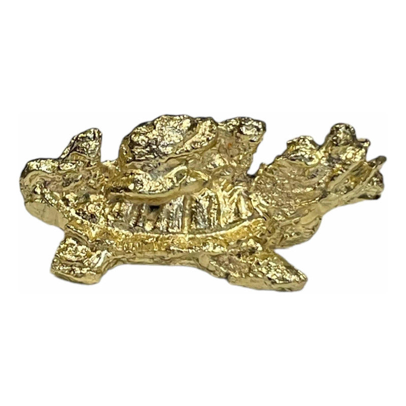 Drachenschildkröten-Amulett