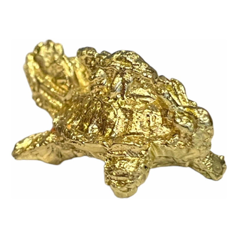 Drachenschildkröten-Amulett