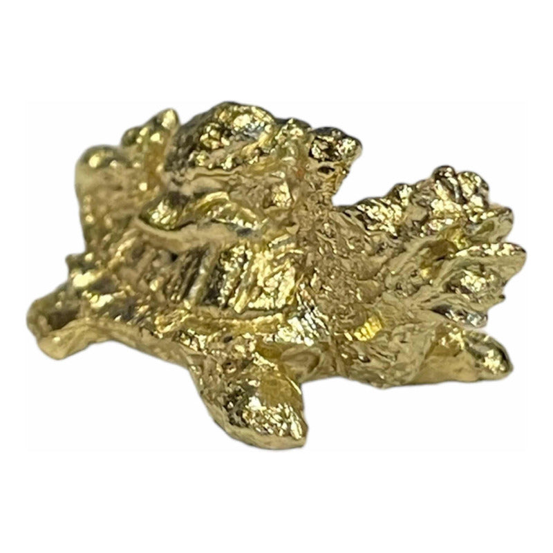 Drachenschildkröten-Amulett