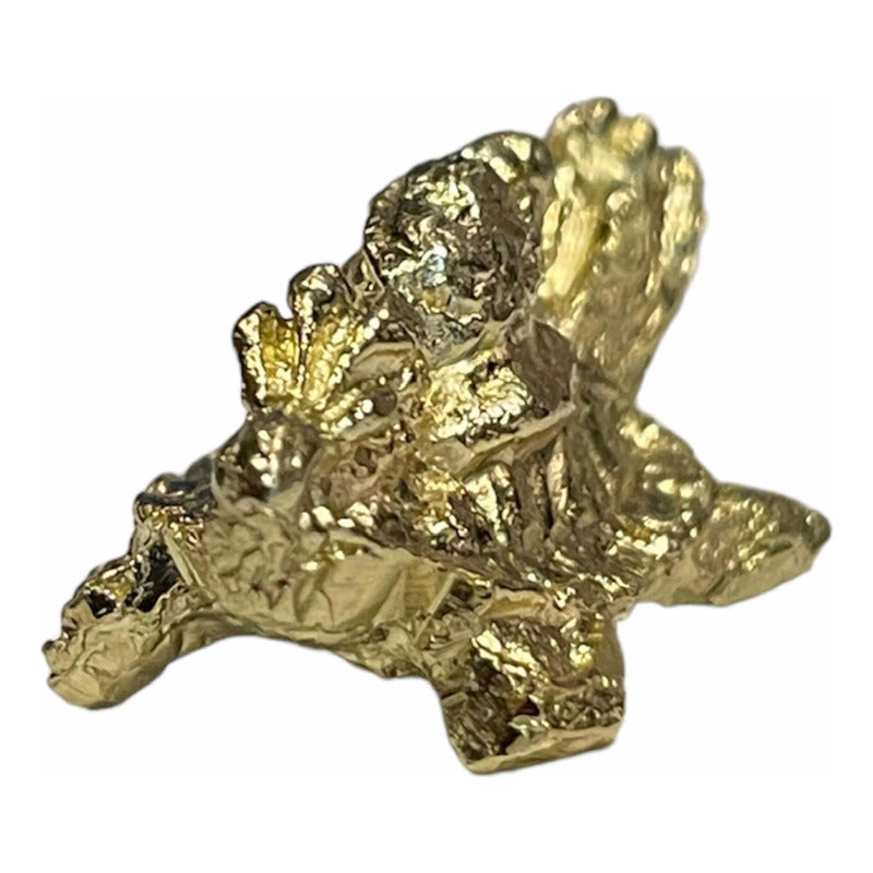 Drachenschildkröten-Amulett