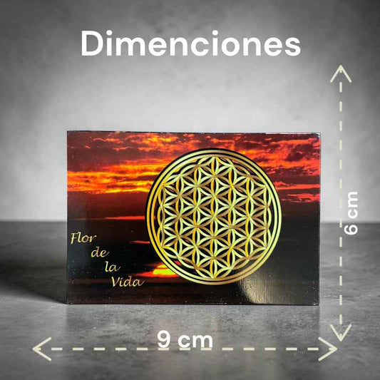 Estampas Coleccionables Esoterismo 5 Piezas Iguales Por Pac Flor De La Vida Simbologia