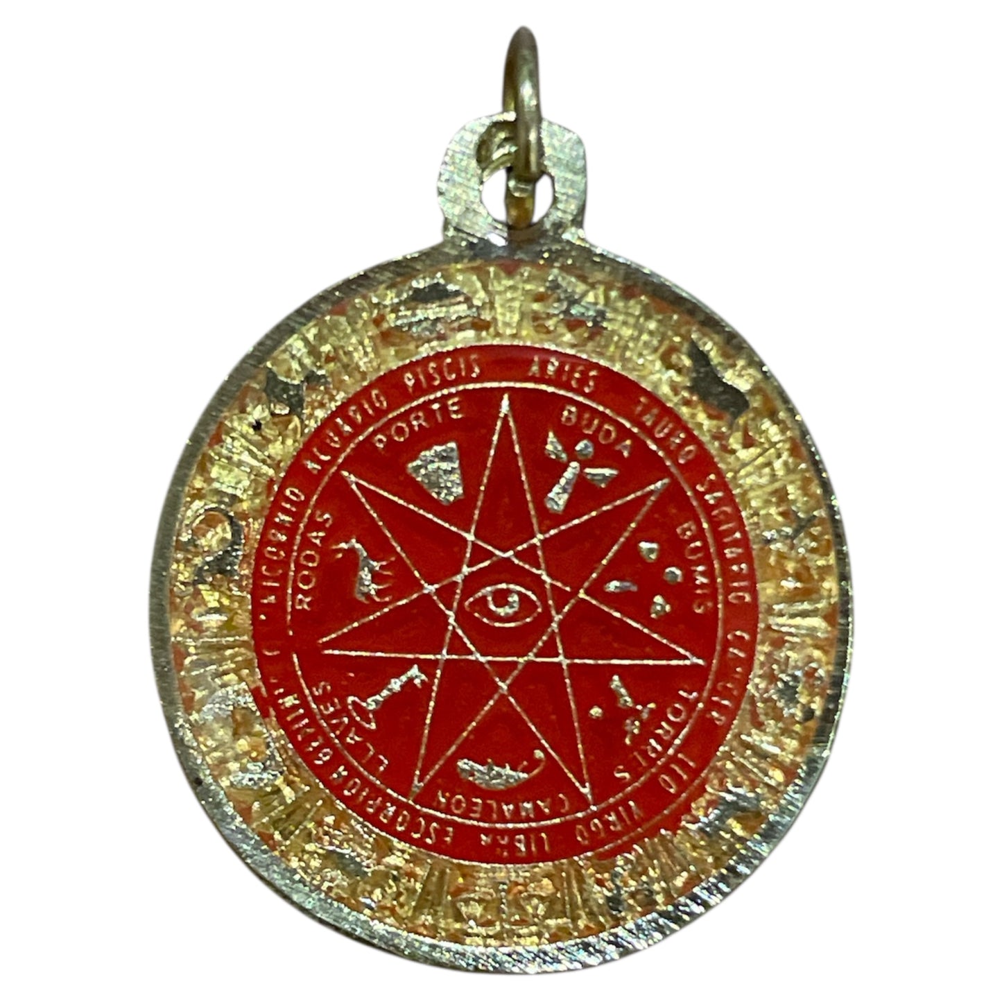 Star Pendant 12 Zodiac Signs in encapsulated metal