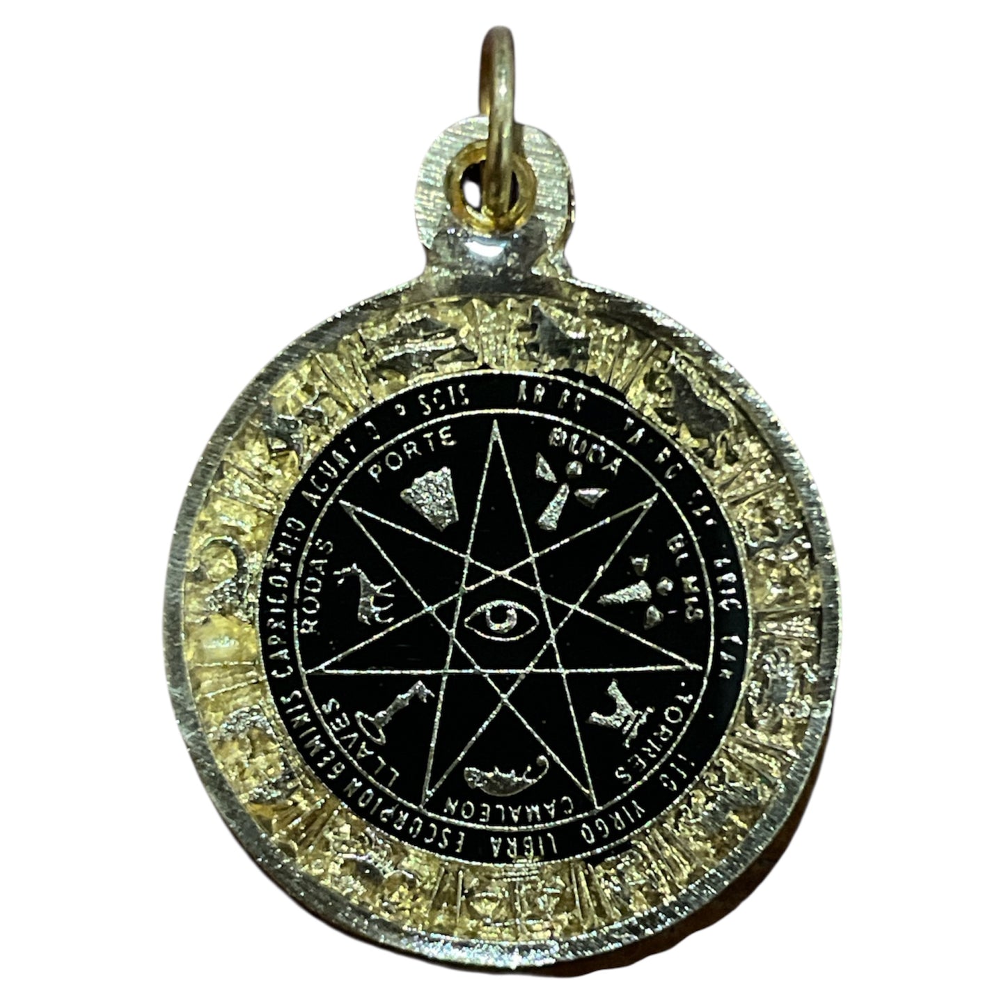 Star Pendant 12 Zodiac Signs in encapsulated metal