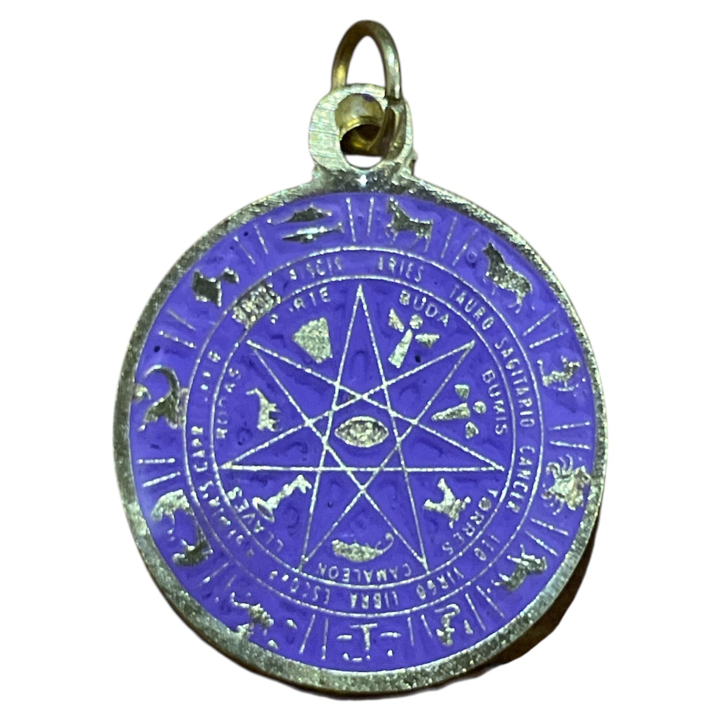 Star Pendant 12 Zodiac Signs in encapsulated metal