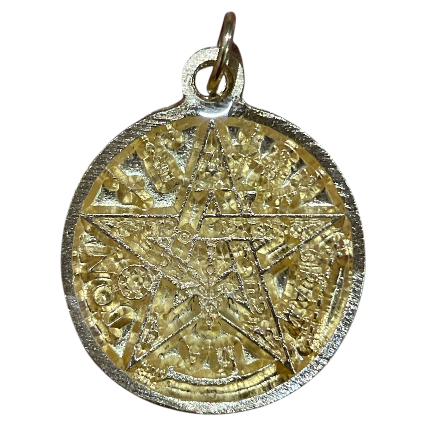 Star Pendant 12 Zodiac Signs in encapsulated metal