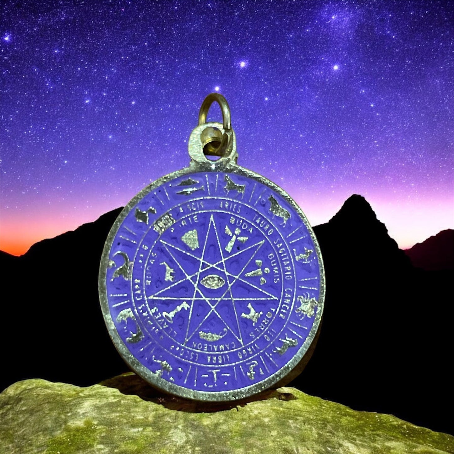 Star Pendant 12 Zodiac Signs in encapsulated metal