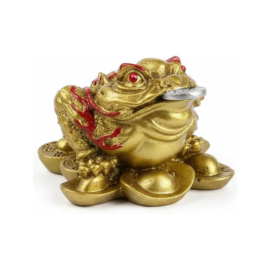 Rana De La Fortuna Dorada Feng Shui 5 Cm Para Abundancia Dorado
