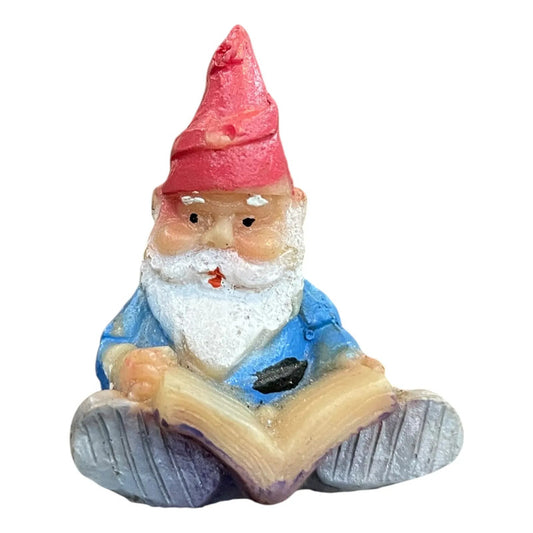 Gnomos En Miniatura De 4 Cm Altura Libro by HEREJE