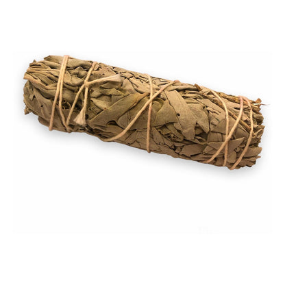 Sage Incense