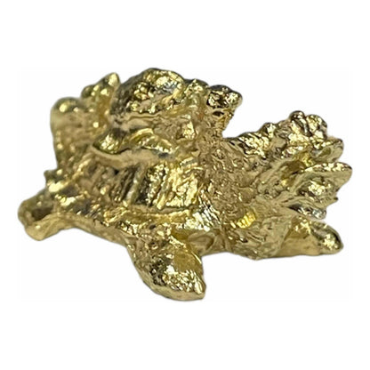 Drachenschildkröten-Amulett