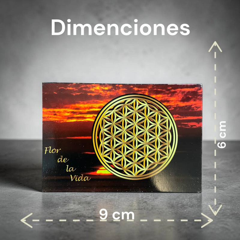 Estampas Coleccionables Esoterismo 5 Piezas Iguales Por Pac Flor De La Vida Simbologia by HEREJE