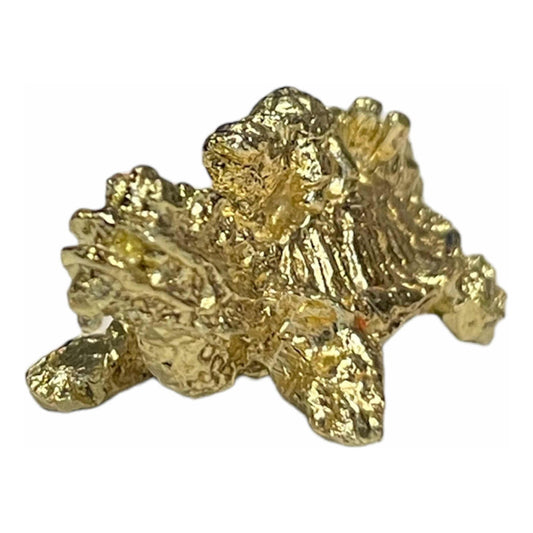 Dragon Turtle Amulet