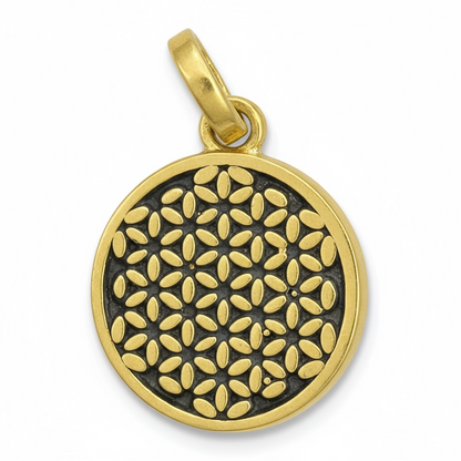 Dije De Chapa Sin Caden Modelos A Elegir.